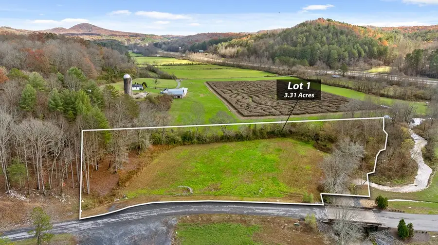 Lot 1 Ridge Dr, Morganton, GA 30560 - Image #3