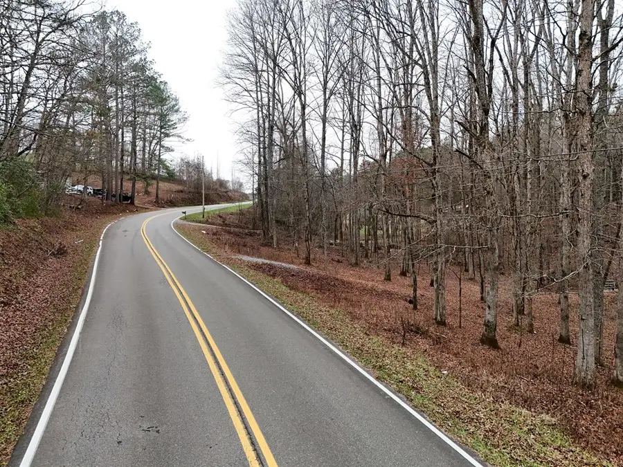 0 Dills Road, Blue Ridge, GA 30513 - Image #2