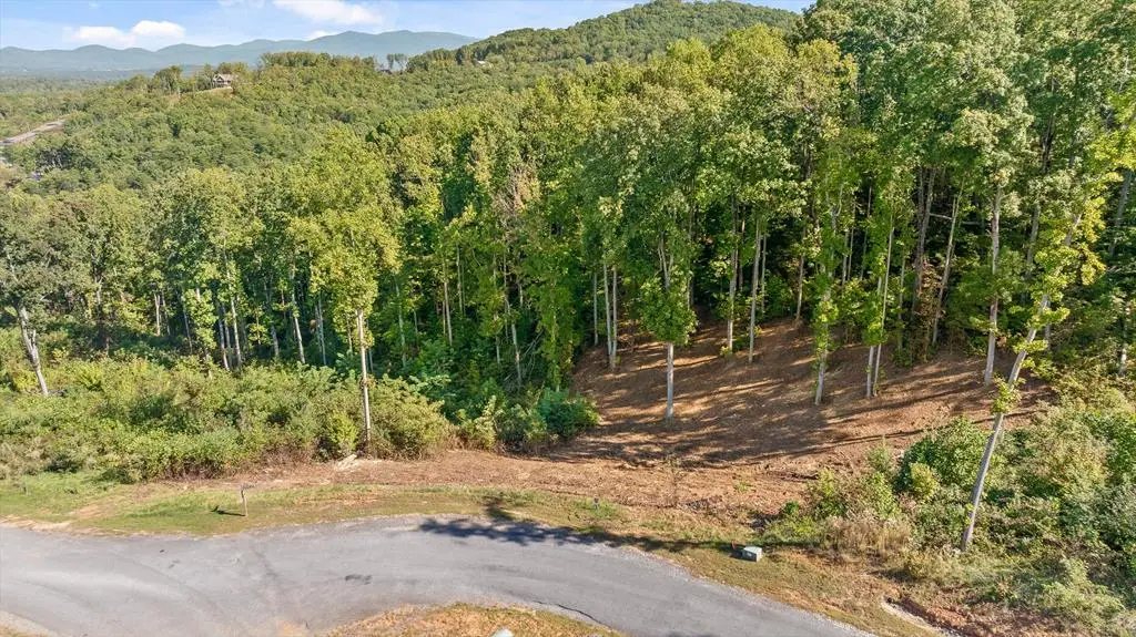 Lot 159 Gray Bluff Trail, Talking Rock, GA 30175 - Image #1