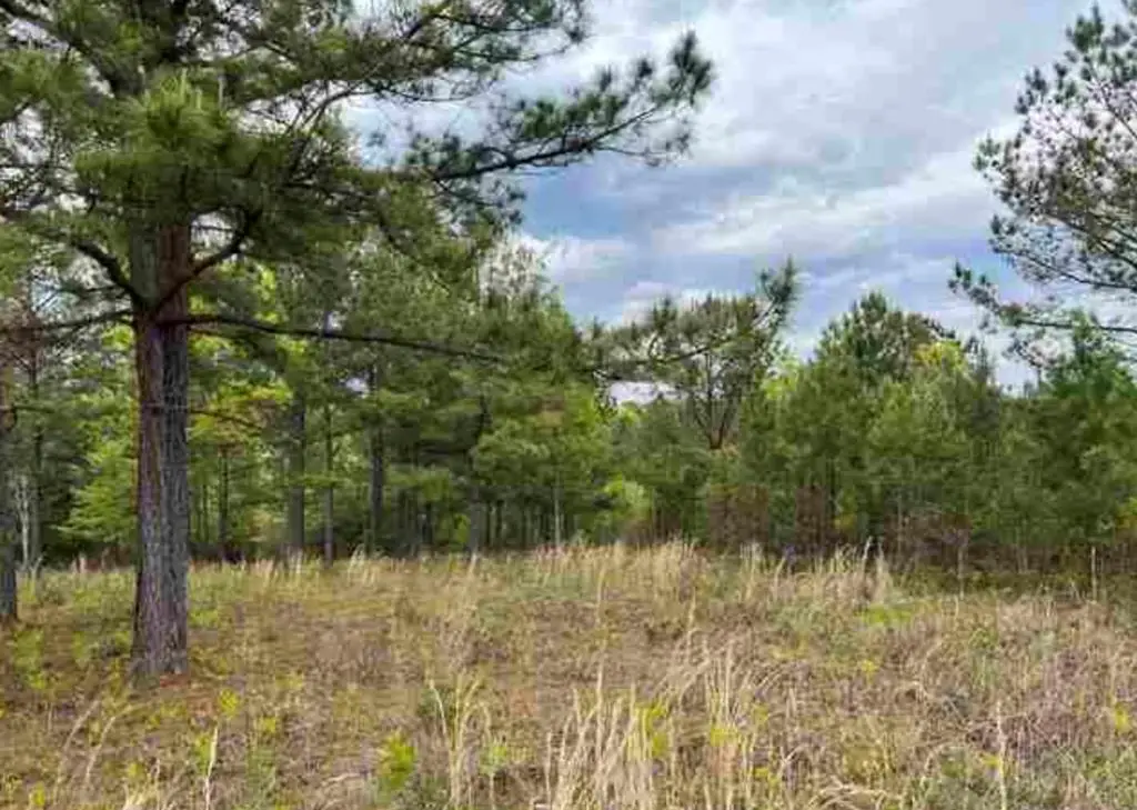 0 Village Loop, Blairsville, GA 30512 - #1