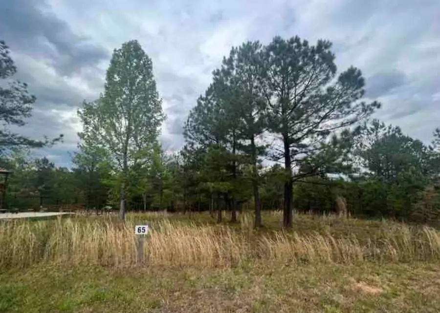 0 Village Loop, Blairsville, GA 30512 - #2