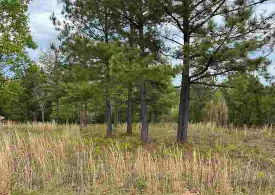 0 Village Loop, Blairsville, GA 30512 - #3