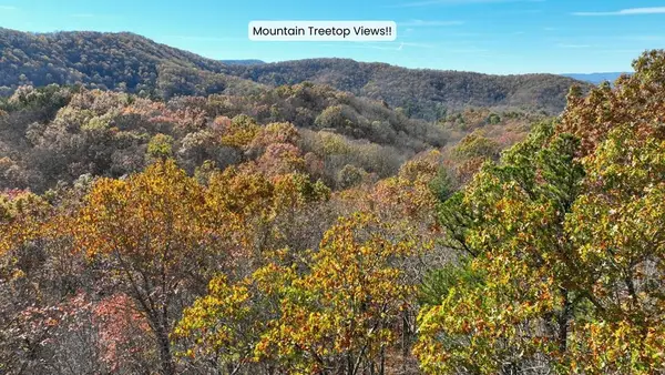 LOT 56 Heards Ridge Road, Morganton, GA 30560