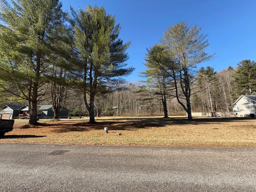 Lot 77 Big Pine Drive, Hiawassee, GA 30546 - Image #1
