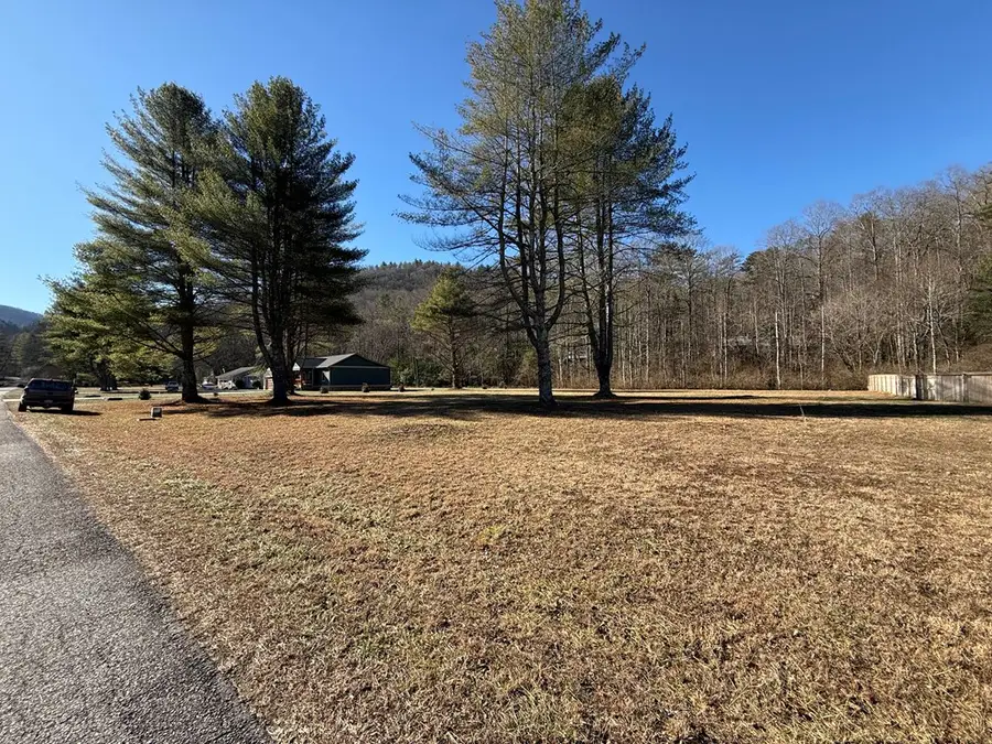Lot 77 Big Pine Drive, Hiawassee, GA 30546 - Image #2