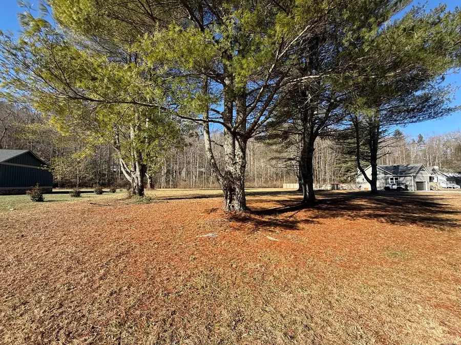 Lot 77 Big Pine Drive, Hiawassee, GA 30546 - Image #3