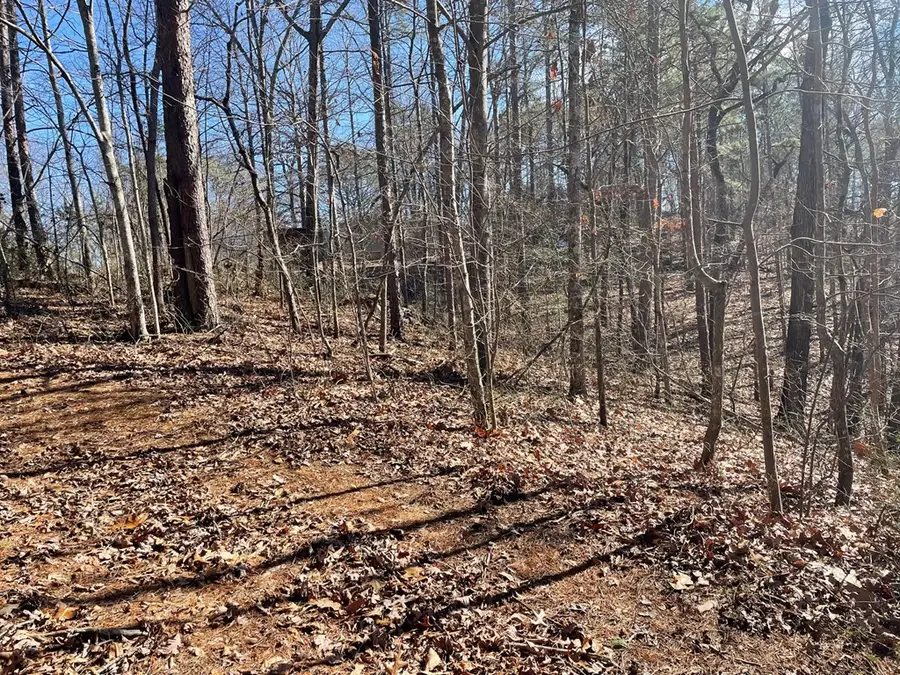 01 Old Federal Road, Talking Rock, GA 30175 - Image #2