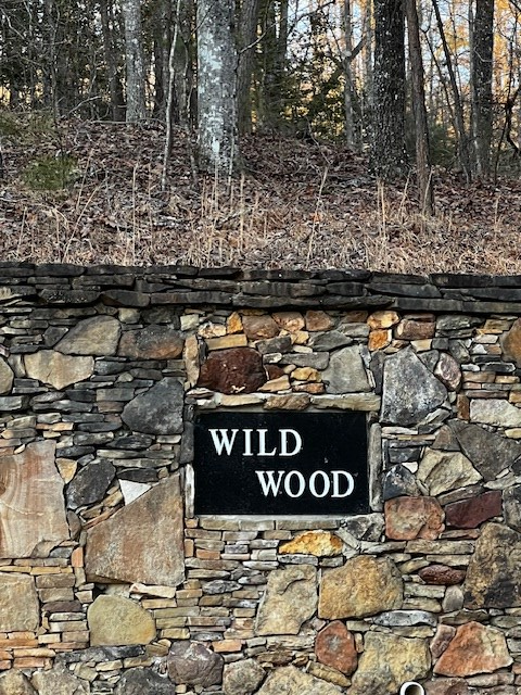 Lot 18 Hidden Branch Drive, Young Harris, GA 30582 - Image #2