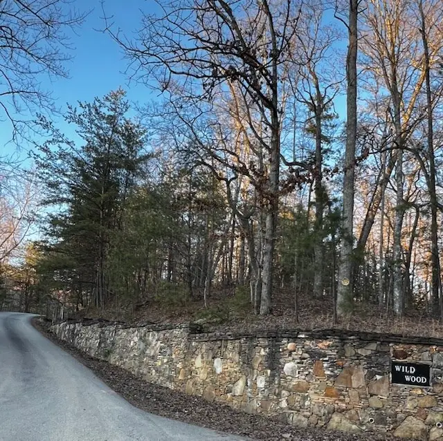 Lot 18 Hidden Branch Drive, Young Harris, GA 30582 - Image #3