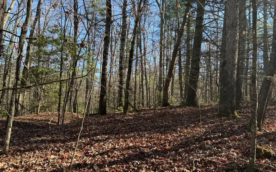 0 Mill Creek Acres, Blue Ridge, GA 30513 - Image #2