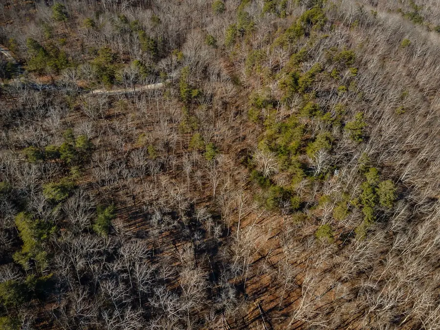 4.78 Ac Bell Court, Ranger, GA 30701 - #3