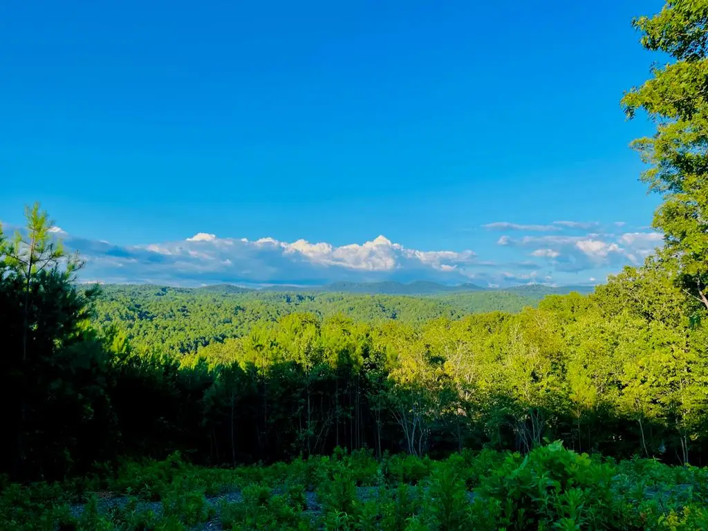 656 Lookout Valley Trail, Talking Rock, GA 30175 - Image #1