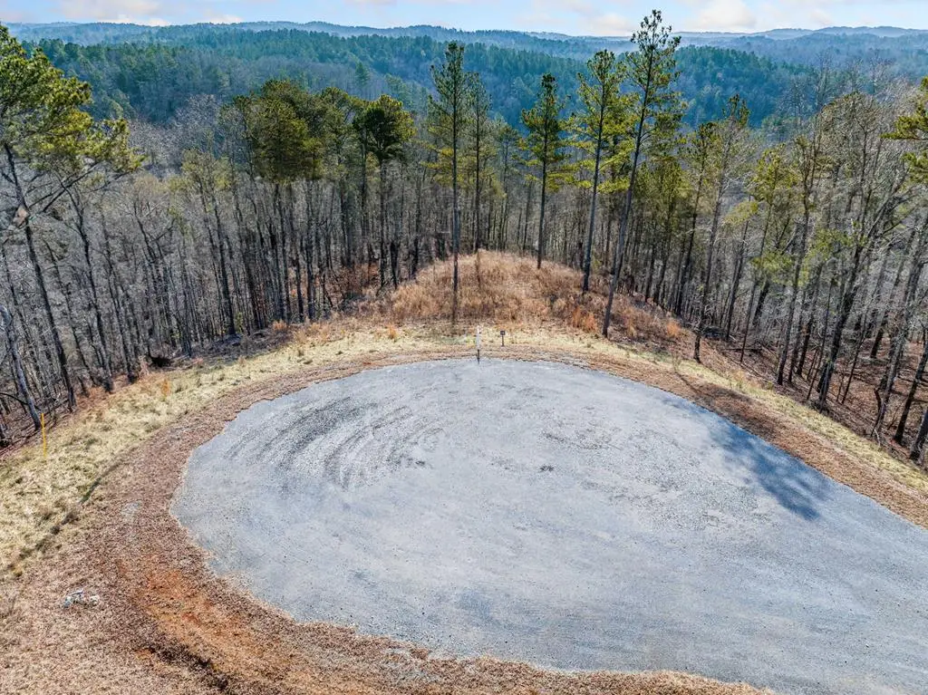 198 Blalock Mountain Court, Ellijay, GA 30540 - Image #1