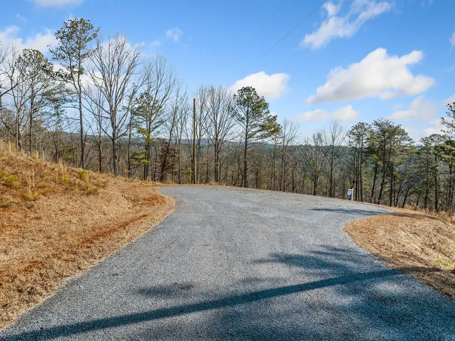 198 Blalock Mountain Court, Ellijay, GA 30540 - Image #3