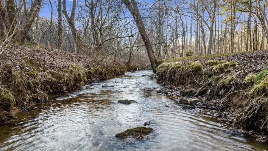 198 Pine Knot Lane, Mineral Bluff, GA 30559 - Image #2