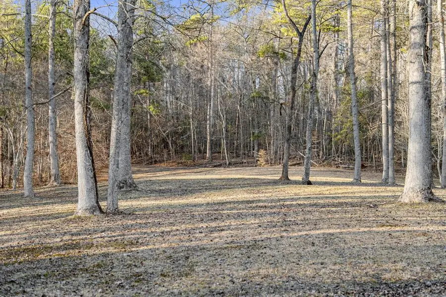 198 Pine Knot Lane, Mineral Bluff, GA 30559 - Image #3