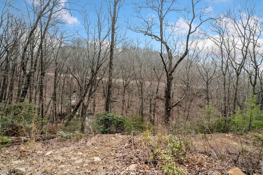 0 Big Oak Drive, Jasper, GA 30143 - Image #3