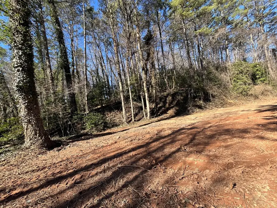 59 Bradley Street, Blue Ridge, GA 30513 - #2