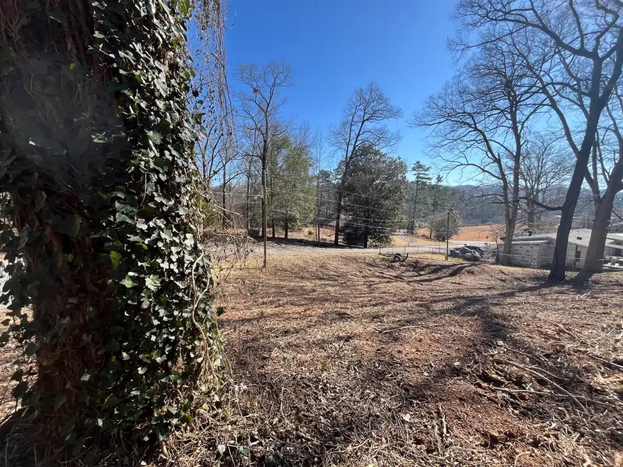 59 Bradley Street, Blue Ridge, GA 30513 - #3