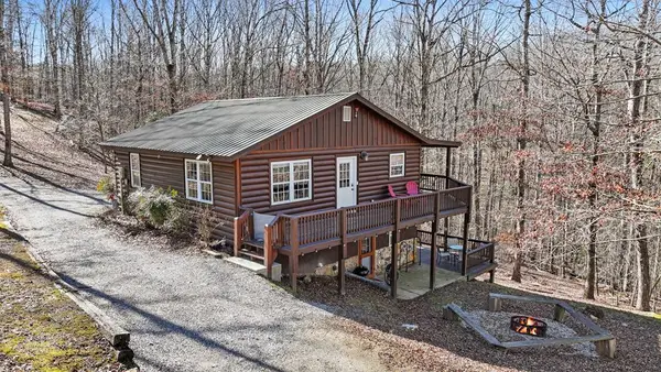 97 Cowboy Way, Mineral Bluff, GA 30559