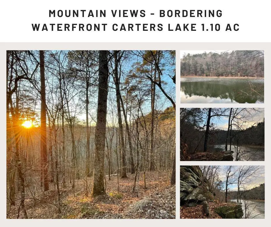 681,682 Julep Circle, Ellijay, GA 30540 - Image #1