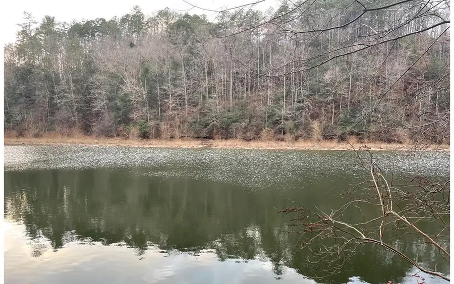 681,682 Julep Circle, Ellijay, GA 30540 - Image #2