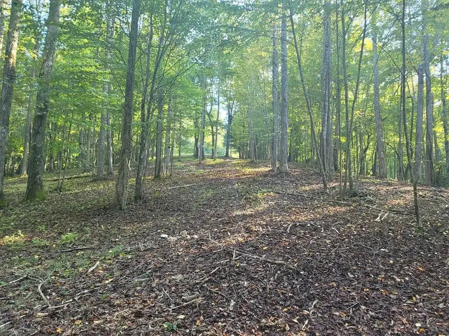 0 Arrowood Court, Blairsville, GA 30512 - Image #2