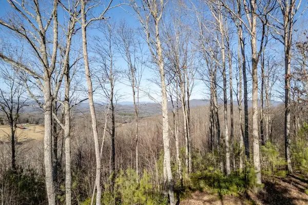 Lot 89 Thirteen Hundred, Blairsville, GA 30512