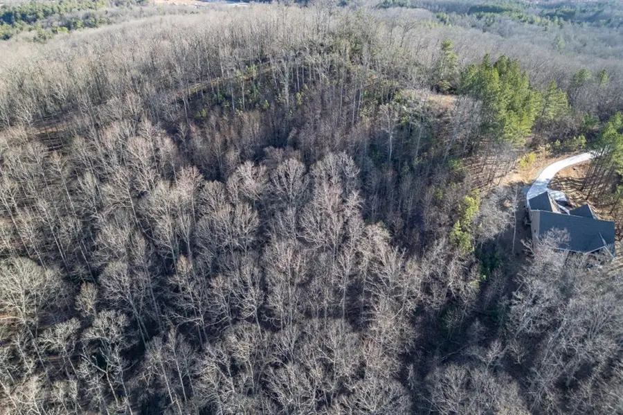 Lot 89 Thirteen Hundred, Blairsville, GA 30512 - Image #2