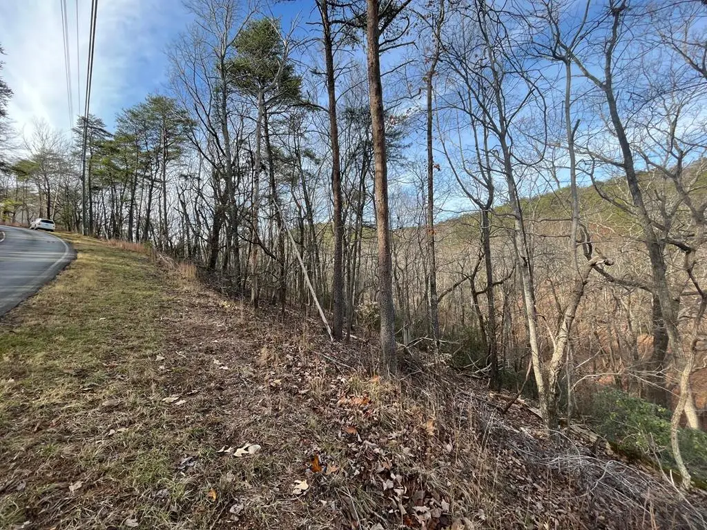 12 Chickasaw Drive, Waleska, GA 30183 - Image #1