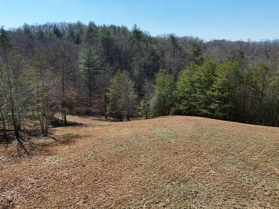 Lt 13/14 S Williamstown Ridge, Mineral Bluff, GA 30559 - Image #2