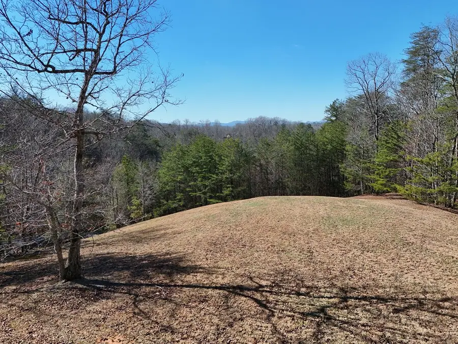 Lt 13/14 S Williamstown Ridge, Mineral Bluff, GA 30559 - Image #3