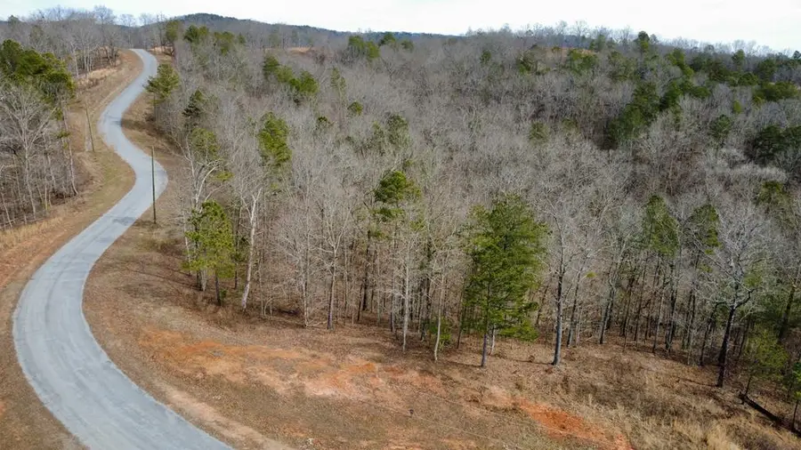 Lot 43 Bucktail Way, Talking Rock, GA 30175 - Image #2