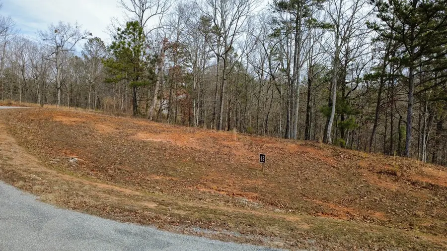 Lot 43 Bucktail Way, Talking Rock, GA 30175 - Image #3