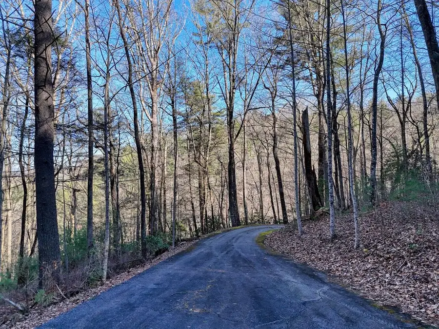 Lot 28 Highland Falls, Blairsville, GA 30512 - Image #3