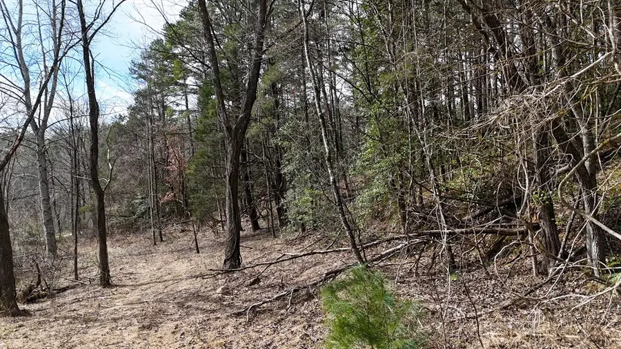 TBD Holly Road, Murphy, NC 28906 - Image #2