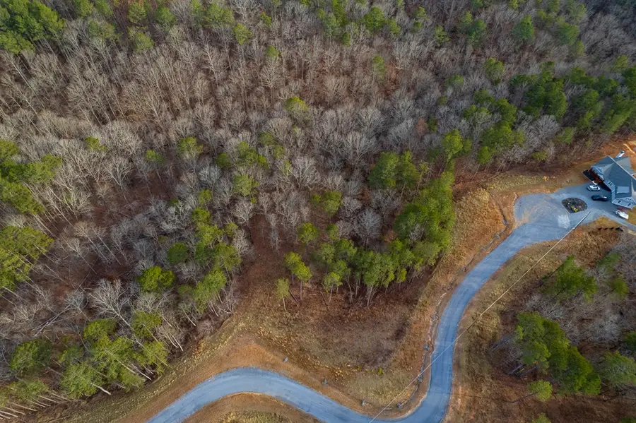 Lot 186 Shelter Cove Trail, Talking Rock, GA 30175 - Image #3