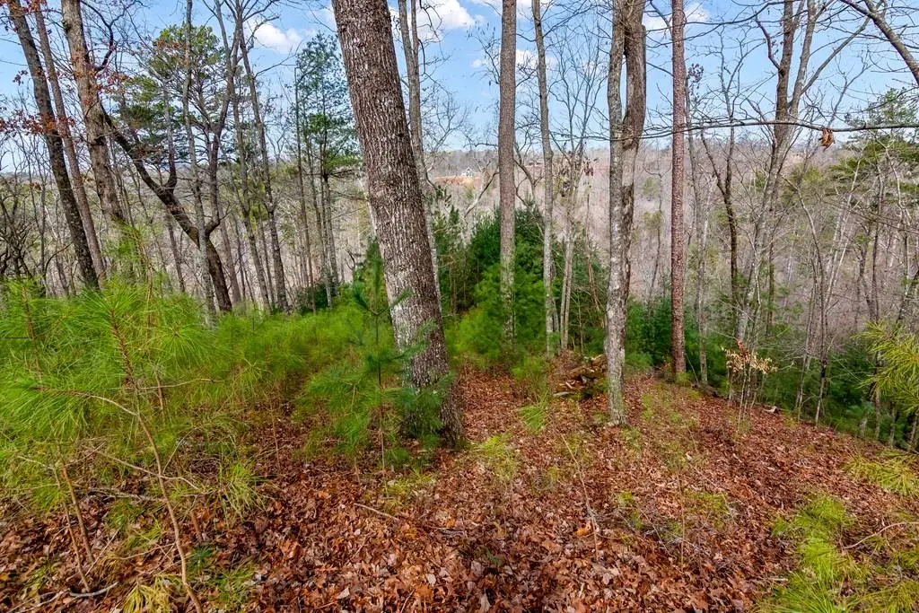 Address Withheld By Seller, Ellijay, GA 30540 - Image #1