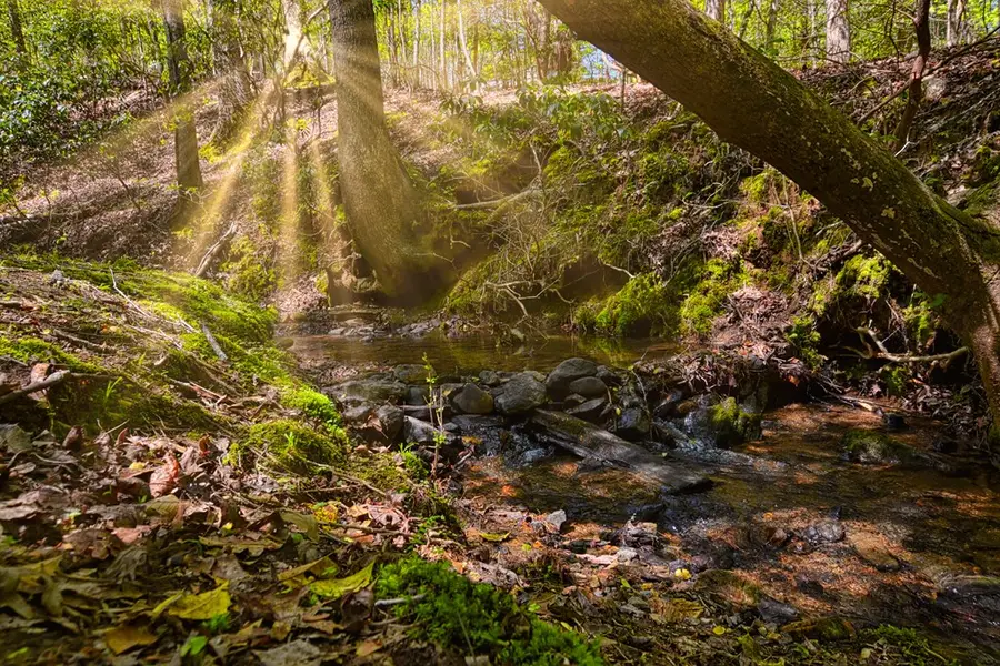 Address Withheld By Seller, Ellijay, GA 30540 - Image #3