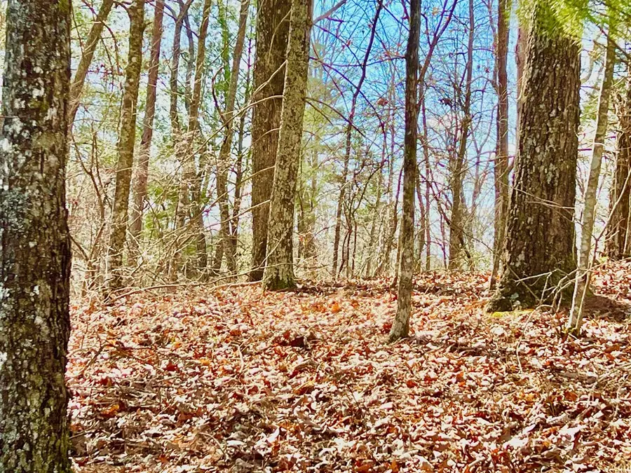 113 Beech Tree Drive, Ellijay, GA 30540 - Image #2