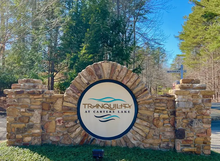 113 Beech Tree Drive, Ellijay, GA 30540 - Image #3