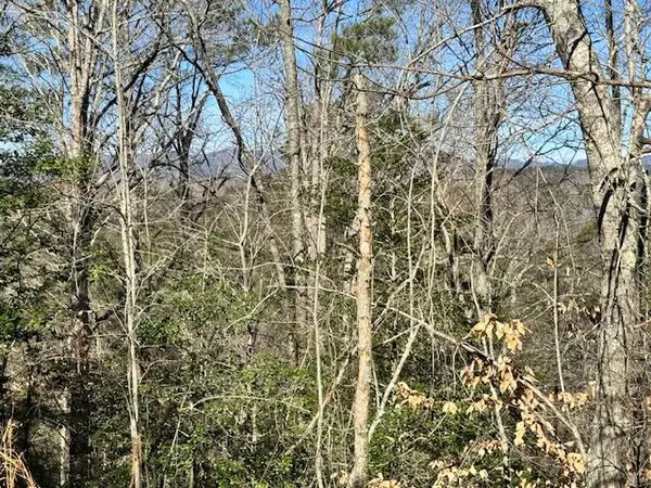 Lot 1198 Lancer Court, Ellijay, GA 30540