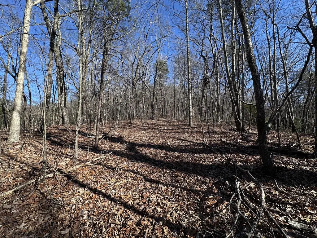57 St Andrews Way, Ellijay, GA 30536 - #1
