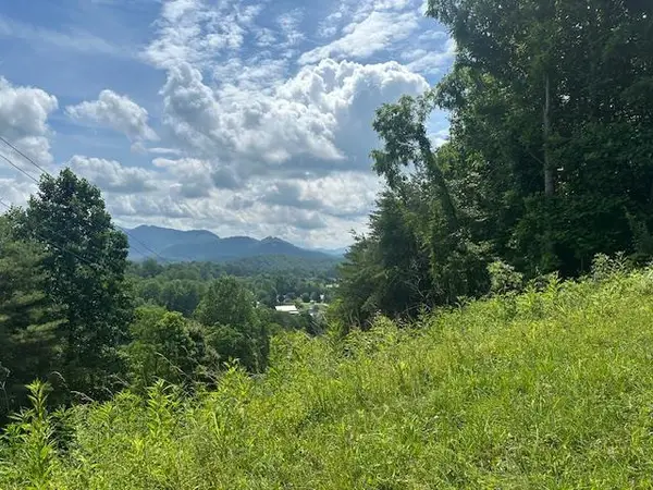 Lot 40 Overlook Trail, Hiawassee, GA 30546
