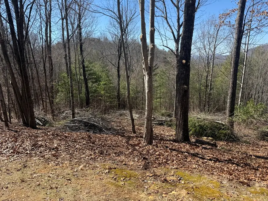 Lot 56 Fires Creek Cove Road, Hayesville, NC 28904 - #3
