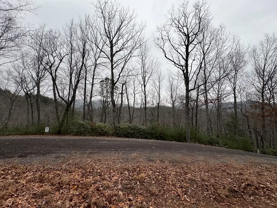 Address Withheld By Seller, Hiawassee, GA 30546 - Image #3