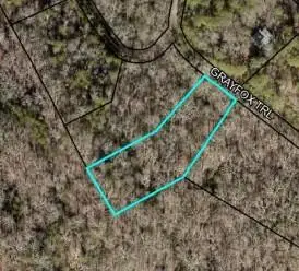 Lot 18 Gray Fox Trail, Blairsville, GA 30512 - Image #2