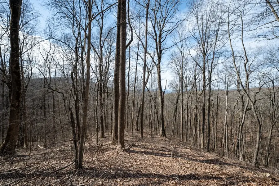 Lot 7R Mountain Falls Loop, Ellijay, GA 30540 - #3