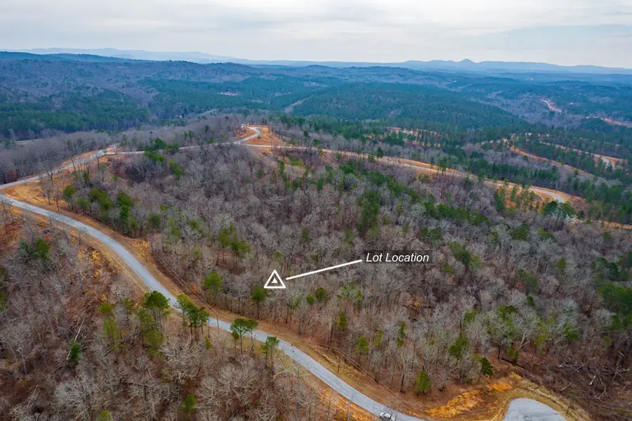 Lot 44 Bucktail Way, Talking Rock, GA 30175 - Image #3