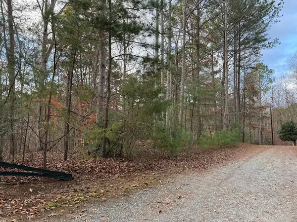 Lot 99 Acella Court, Ellijay, GA 30540